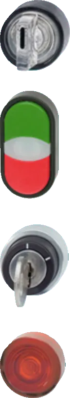 Pulsanti e segnalatori